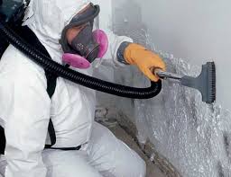 Best Mold Remediation for Healthcare Facilities  in Hilton, NY